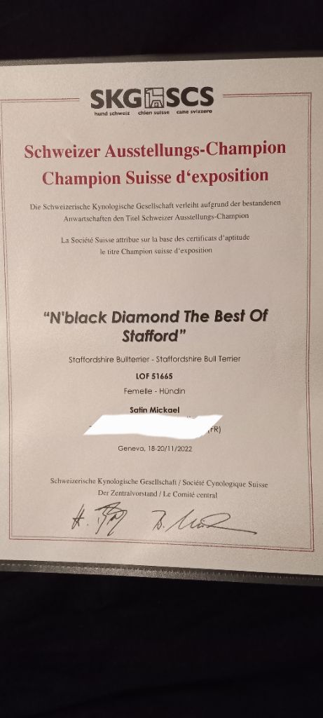 CH. N'black diamond The Best Of Stafford