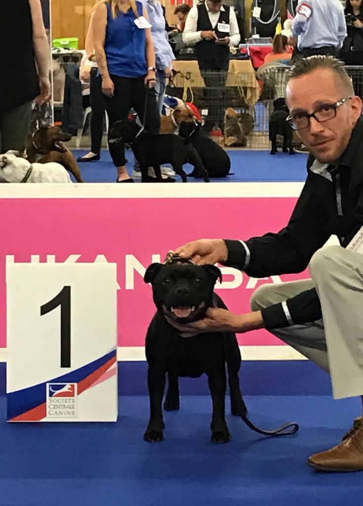 The Best Of Stafford - ??Championnat de France 2018 ??